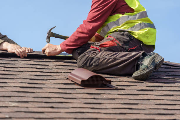 Best Roof Leak Repair  in Cedar Falls, IA