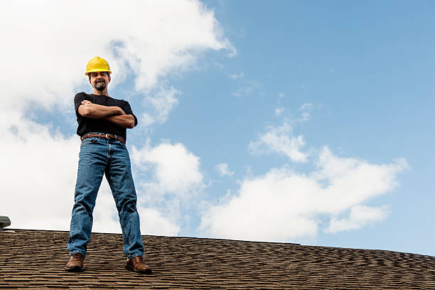Best Metal Roofing Contractor  in Cedar Falls, IA
